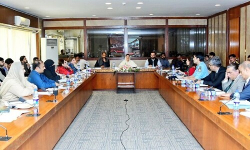 NA body urges govt to sack civil judge in maid torture case