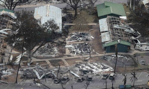 Hawaii wildfires leave at least 36 dead