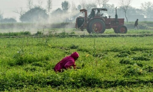 Improvement in water supply cheers up farmers, boosts crop prospects Improvement in water supply cheers up farmers, boosts crop prospects