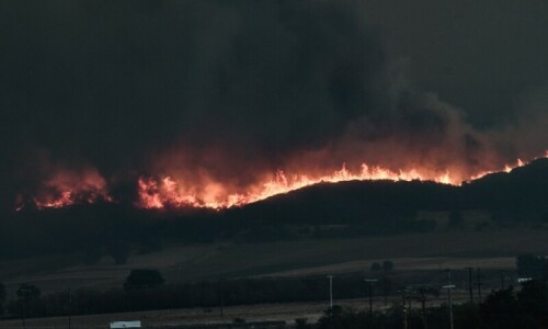 Firefighters in Greece battle blazes fanned by gale force winds