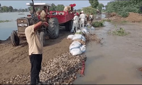 More than 74,000 evacuated from July 9 to Aug 22 as rivers in Punjab continue to swell More than 74,000 evacuated from July 9 to Aug 22 as rivers in Punjab continue to swell