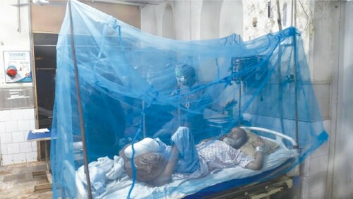 Alarming surge in malaria cases in Sindh termed ‘tip of the iceberg’ Alarming surge in malaria cases in Sindh termed ‘tip of the iceberg’