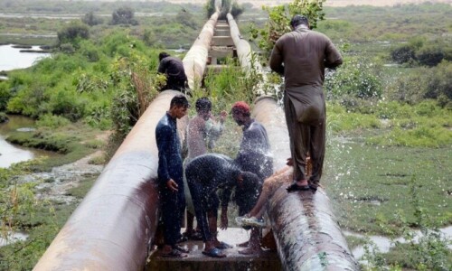 A new expressway threatens Karachi&rsquo;s largest green space