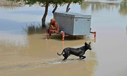 Sutlej waters head downstream after flooding Bahawalpur