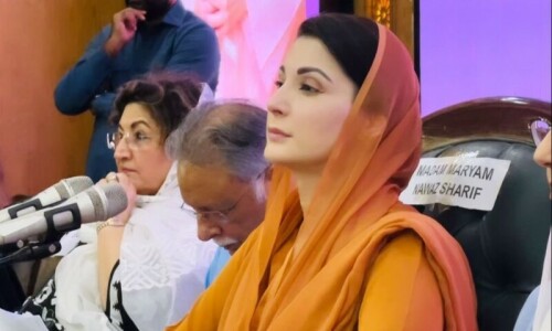 Maryam wants PML-N to field maximum young candidates