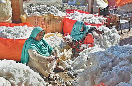 Record 1.43m cotton bales produced until July 31