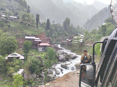 TRAVEL: THE MAGICAL WOODLAND