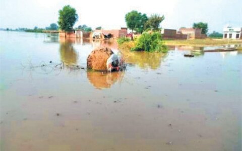 Punjab districts reel under severe Sutlej flood effects despite slight dip in level
