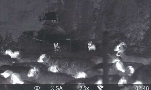 Tokyo to release water from Fukushima  N-plant tomorrow