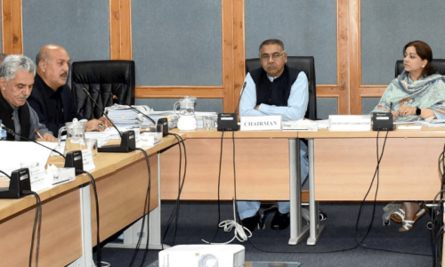 Senators grill power division on high tariffs, inefficiencies