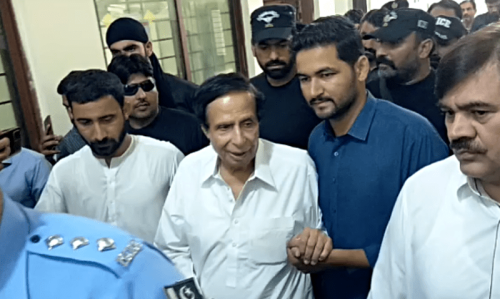 MPO detention order against Elahi withdrawn, DC tells court
