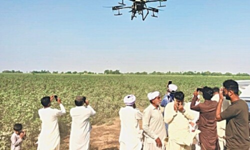 Punjab goes  all-out to quell cotton pest attack