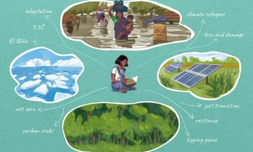Climate change glossary: Terms you need to understand, explained