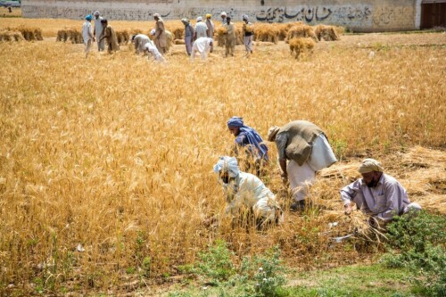 Tax the rich, not the poor, farmers tell govt Tax the rich, not the poor, farmers tell govt