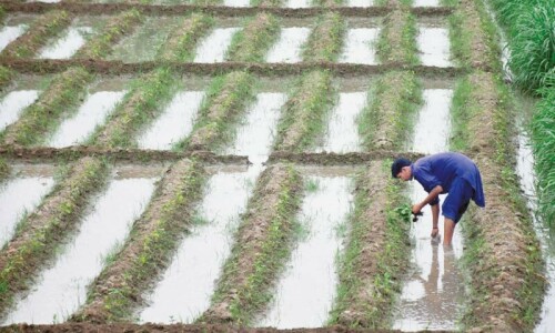 Move to preserve farm lands Move to preserve farm lands