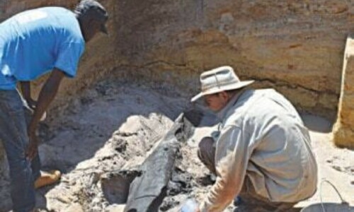 World&rsquo;s oldest wooden structure discovered in Zambia
