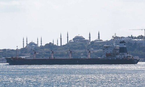 First Ukraine grain ship since Russian blockade reaches Istanbul First Ukraine grain ship since Russian blockade reaches Istanbul