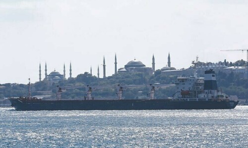Second Ukraine wheat shipment reaches Turkiye Second Ukraine wheat shipment reaches Turkiye