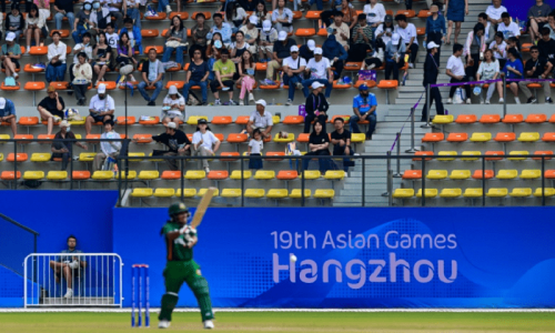 Leather, willow and sunflowers: China gets to grip with cricket Leather, willow and sunflowers: China gets to grip with cricket