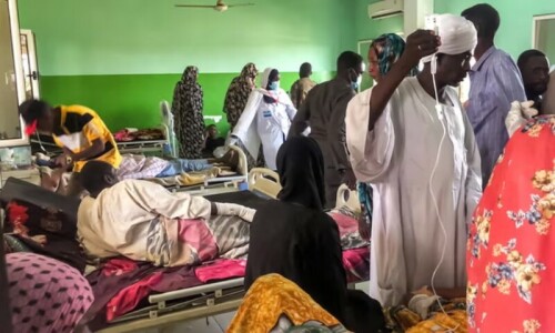Hundreds dead from dengue fever in war-torn Sudan: medics Hundreds dead from dengue fever in war-torn Sudan: medics