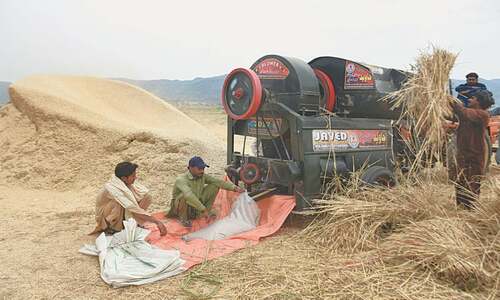 Prices seen falling after arrival of imported wheat