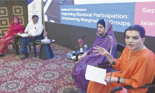 Marginalised groups must be brought into political mainstream: HRCP