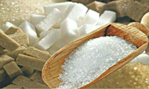 Sugar hits 13-year high: FAO