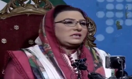 Istekham-i-Pakistan Party will emerge as new force in elections, claims Dr Firdous