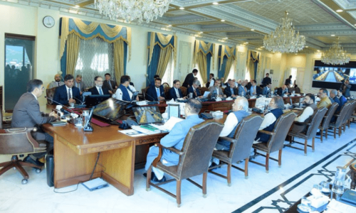 Cabinet okays PIA sale amid skyrocketing losses