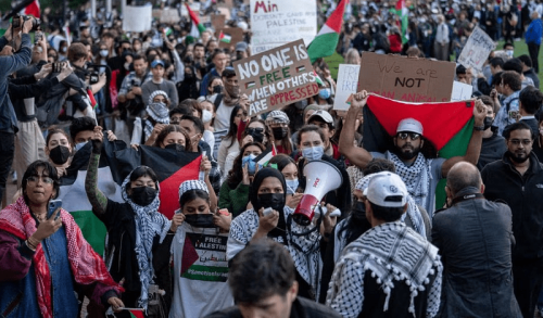 Anti-Israel protests continue  in US despite harassment