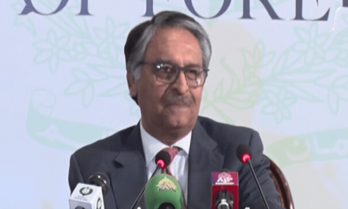 FM Jilani equates Israeli strikes, blockade of Gaza to genocide against Palestinians