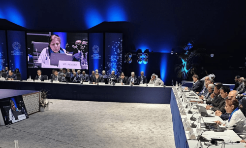 &lsquo;Pakistan committed to fostering global economic ties&rsquo;