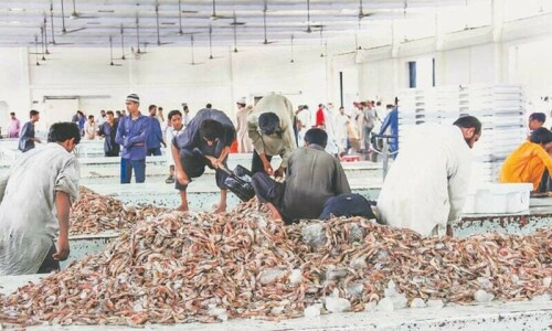 US team&rsquo;s visit sparks action on shrimp export ban