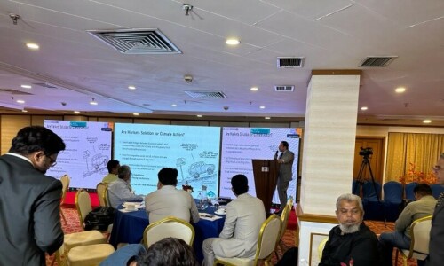 Stakeholders make case for carbon trading