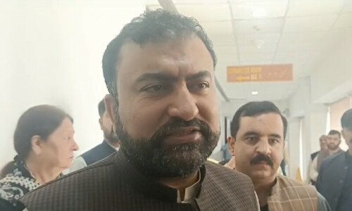 Interior minister insists deportation drive aimed at all illegal residents, not solely Afghans Interior minister insists deportation drive aimed at all illegal residents, not solely Afghans