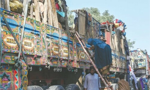 New, more powerful task force formed to probe &lsquo;passports for Afghans&rsquo; scandal