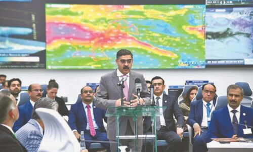 PM Kakar urges global help to combat climate change