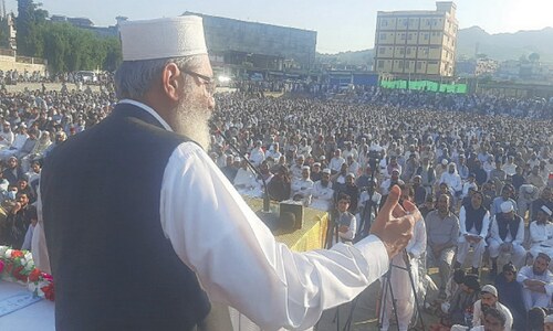 Muslims stand by Palestinians in their struggle against Israel: JI