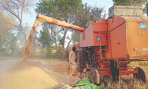 Wheat output estimated at over 32m tonnes