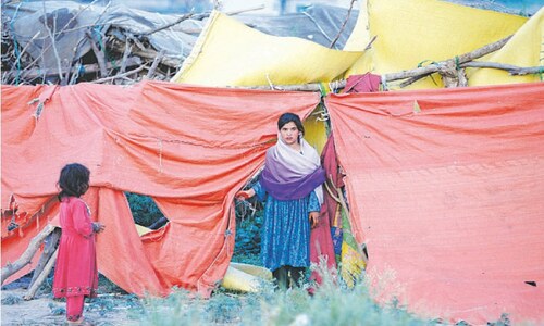 SOCIETY: CRIME AND PERCEPTION