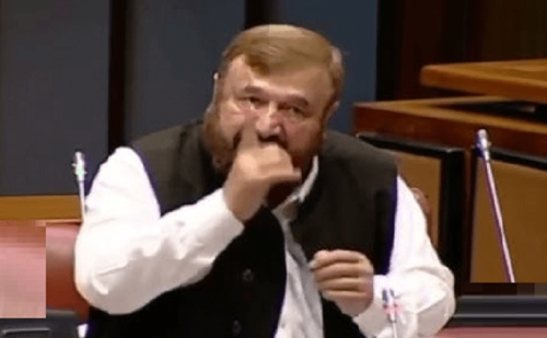 PML-N senator for severing ties with countries backing Israel