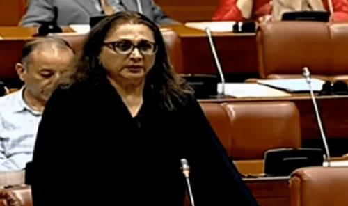 PML-N senator slams PTI leaders’ detention PML-N senator slams PTI leaders’ detention