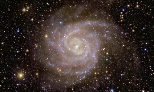 Europe&rsquo;s Euclid space telescope releases first images