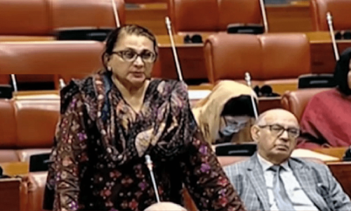 Senators protest resolution against SC ruling