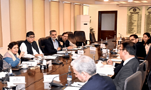 Panel clears SOE policy for cabinet approval