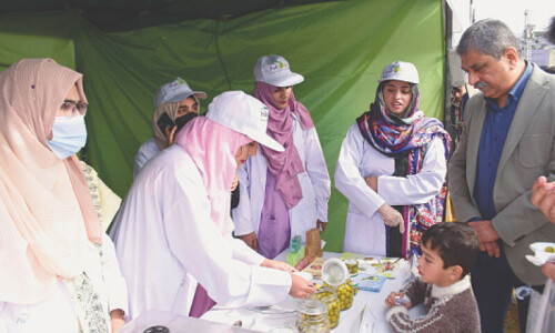 Italy a promising market for Pakistan’s olive oil: official Italy a promising market for Pakistan’s olive oil: official