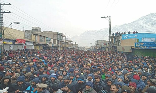 GB protesters want wheat subsidy restored by Nov 30 GB protesters want wheat subsidy restored by Nov 30