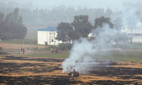 Seven farmers held, 21 cases filed over stubble burning in Punjab