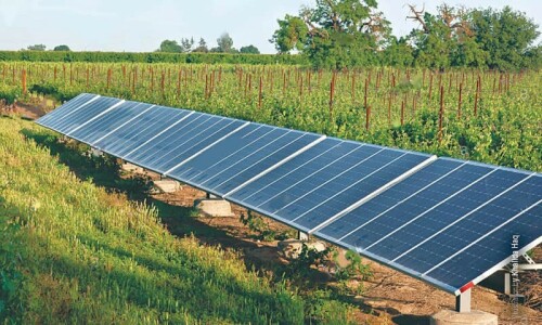 SBP grilled over money laundered via solar panels