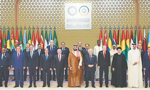 OIC, AL members slam Israel, but differ on response